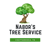Tree Service Chattanooga Logo