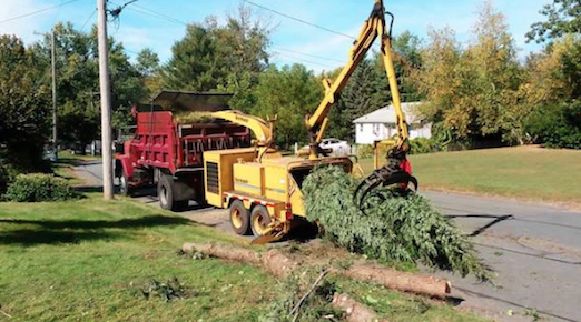 Nabor's Tree Service Chattanooga ​1132 Market St #FC-3, Chattanooga, TN 37402 - Wood Chipping Service